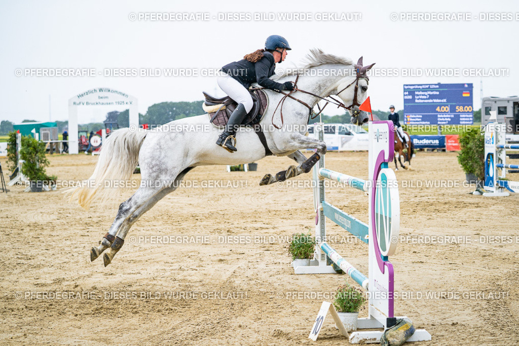 DSC08676 | Pferdegrafie