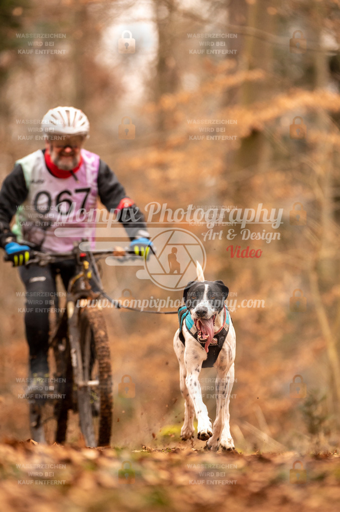 AKM_ST_2023_SAM_Bike-43 | PayLife