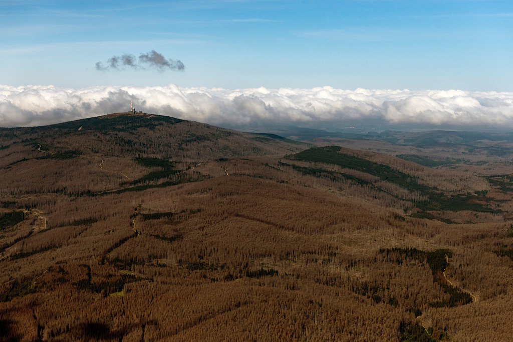 dr__0074032.jpg | SCHIERKE 01.09.2021 Gipfel des Brockengebirges im Harz in Schierke im Bundesland Sachsen-Anhalt. // Forest and mountain scenery Brocken in winter in Schierke in the state Saxony-Anhalt. Foto: Daniel Reiter