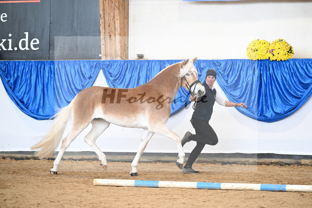 Bl. Band Kat-Nr. 5 Lady Cool v. Wetterstein_Gossner_48251298 | hf-fotografie - Realisiert mit Pictrs.com