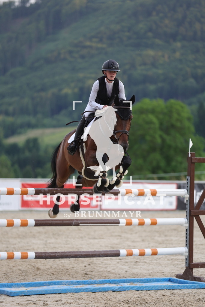 0P6A2154 | Willkommen bei Brunnmayr - Design & Fotografie – Ihrem Spezialisten für Reitturniere und Pferdeveranstaltungen in Oberösterreich, Salzburg und Bayern! Seit über 17 Jahren sind wir leidenschaftlich dabei.