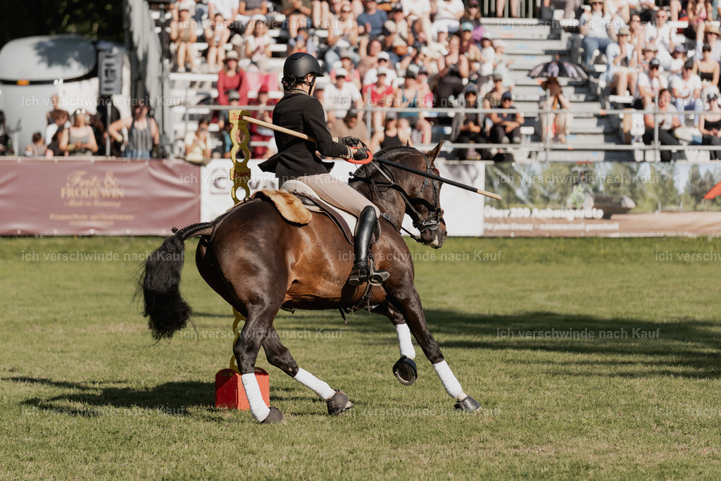 WE_MOS_Stoib_330_PI2025_2379 | Pferd International München 2025