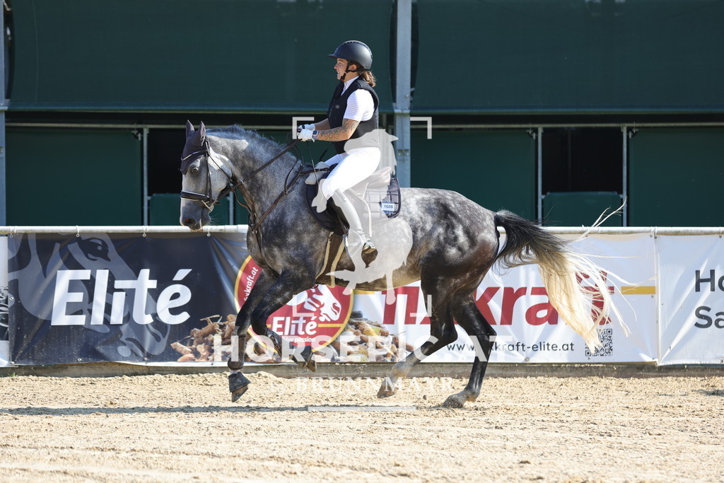 0P6A4504 | Willkommen bei Brunnmayr - Design & Fotografie – Ihrem Spezialisten für Reitturniere und Pferdeveranstaltungen in Oberösterreich, Salzburg und Bayern! Seit über 17 Jahren sind wir leidenschaftlich dabei.