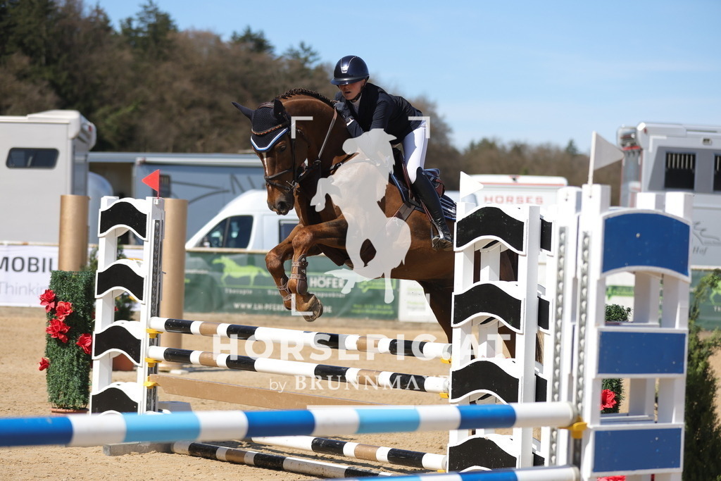 0P6A7232 | Willkommen bei Brunnmayr - Design & Fotografie – Ihrem Spezialisten für Reitturniere und Pferdeveranstaltungen in Oberösterreich, Salzburg und Bayern! Seit über 17 Jahren sind wir leidenschaftlich dabei.