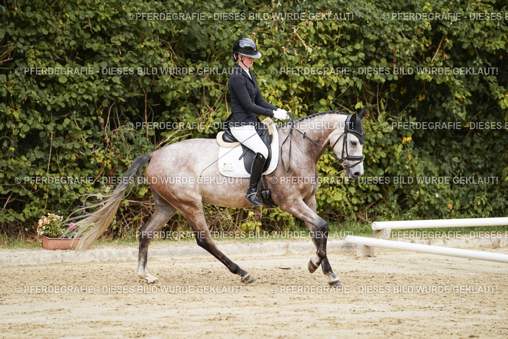 DSC00756 | Pferdegrafie