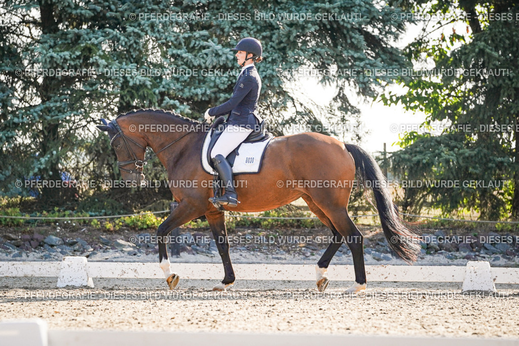 DSC08883 | Pferdegrafie