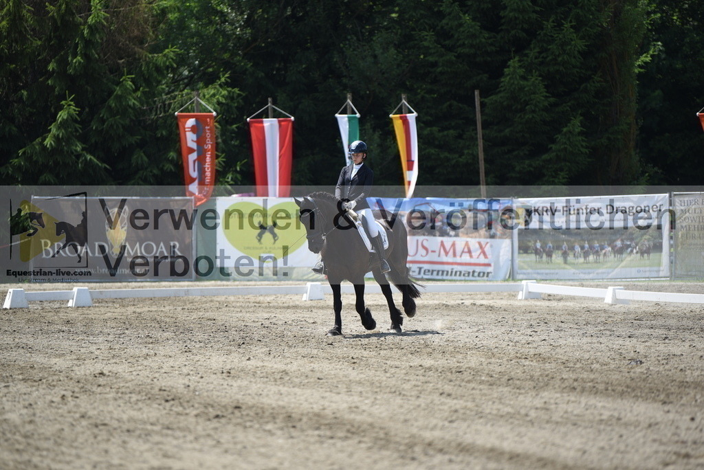 DSC_0530 | equestrian-live-com