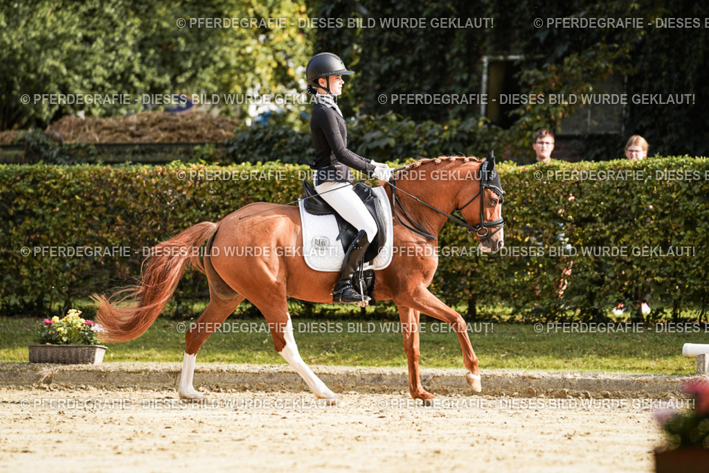 DSC05928 | Pferdegrafie