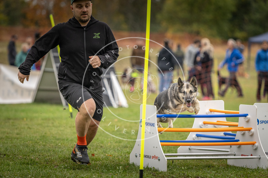 Pfotenfotografie_DV3A9639 | Hundefotografie, Tierfotograf, Pfotenfotografie, Fotoshooting Hund, Hunde Portrait, Hundesport, Hundeportraits, Heideshooting, Hunde, Sportfotograf, Hundefotograf, Turnierhundsport, THS,  - Realisiert mit Pictrs.com