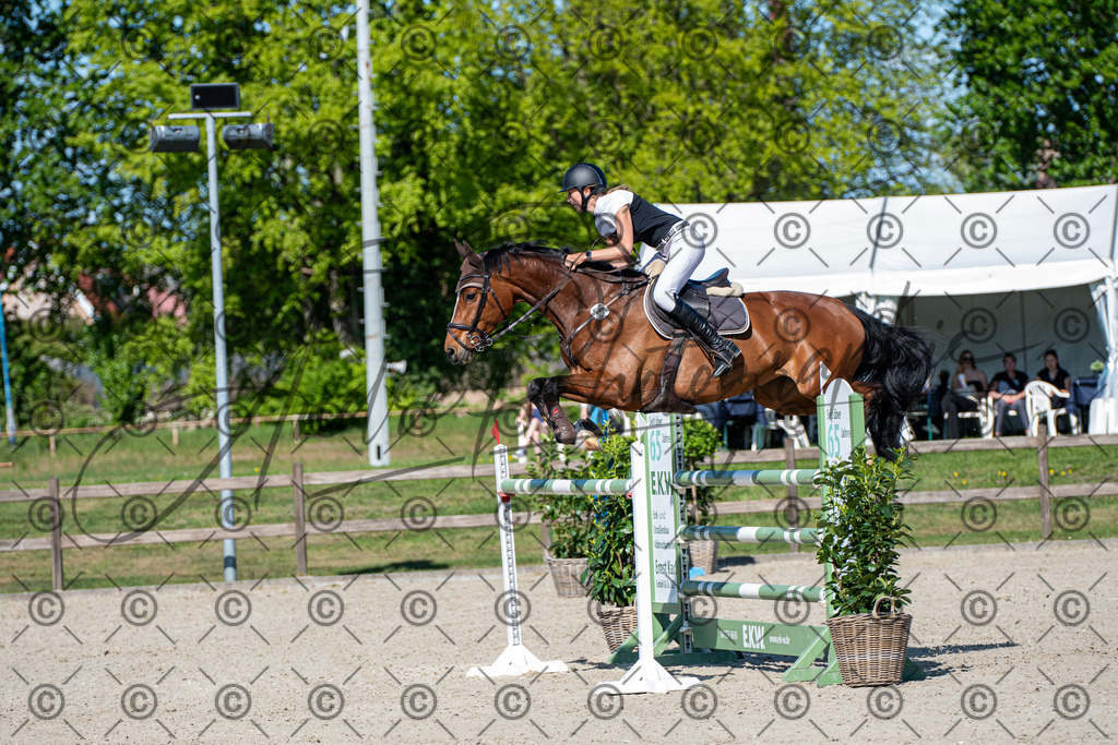 KPT_1577 | andre_photographic