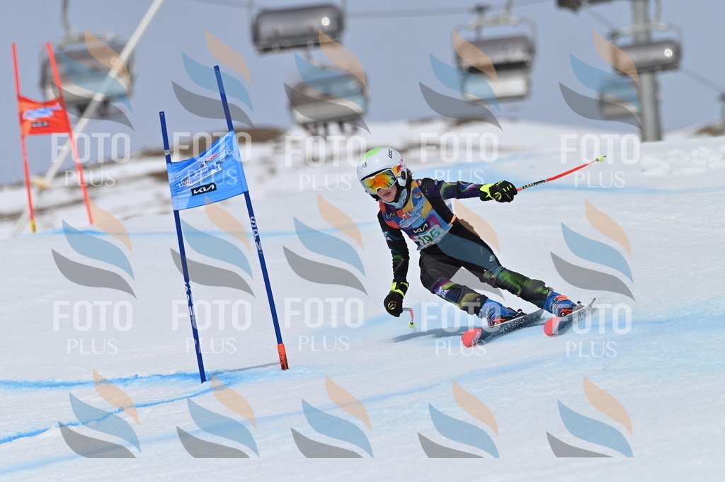 BGV_3750 | holidayphoto