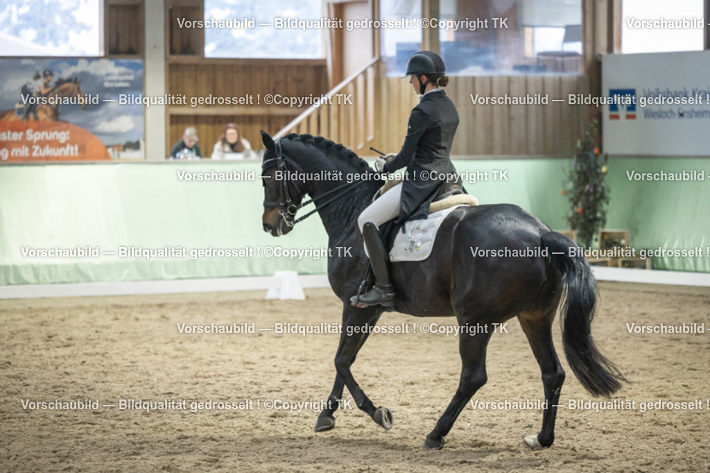 _D5A7024 | Emotionale Pferde- & People-Fotografie rund um Heidelberg, Leimen & Umgebung. Natürliche Fotos von Pferd, Mensch & Familie. Jetzt Termin sichern!