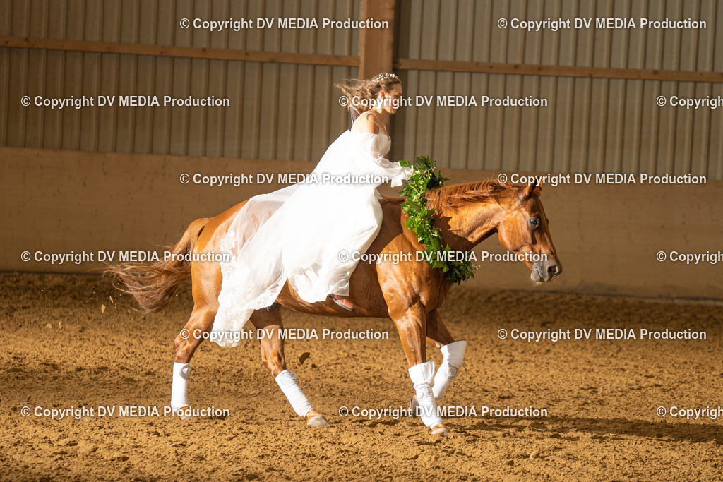 LAU01188 | dv-media-shop - Realisiert mit Pictrs.com