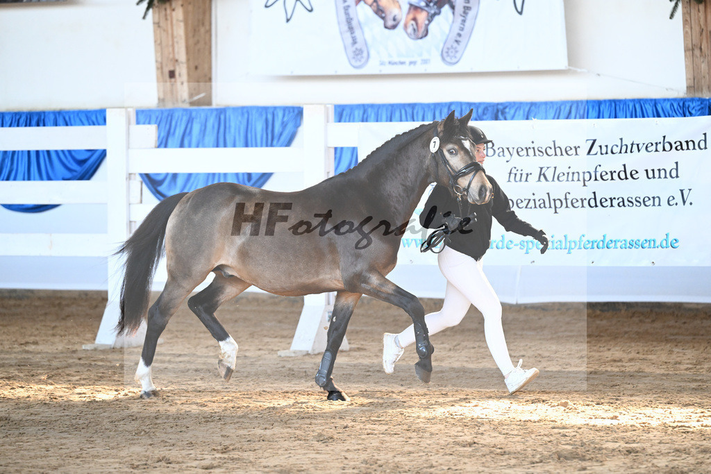 Kat-Nr. 7 Dian v. Diamond Touch_Schneider_9260176 | hf-fotografie - Realisiert mit Pictrs.com