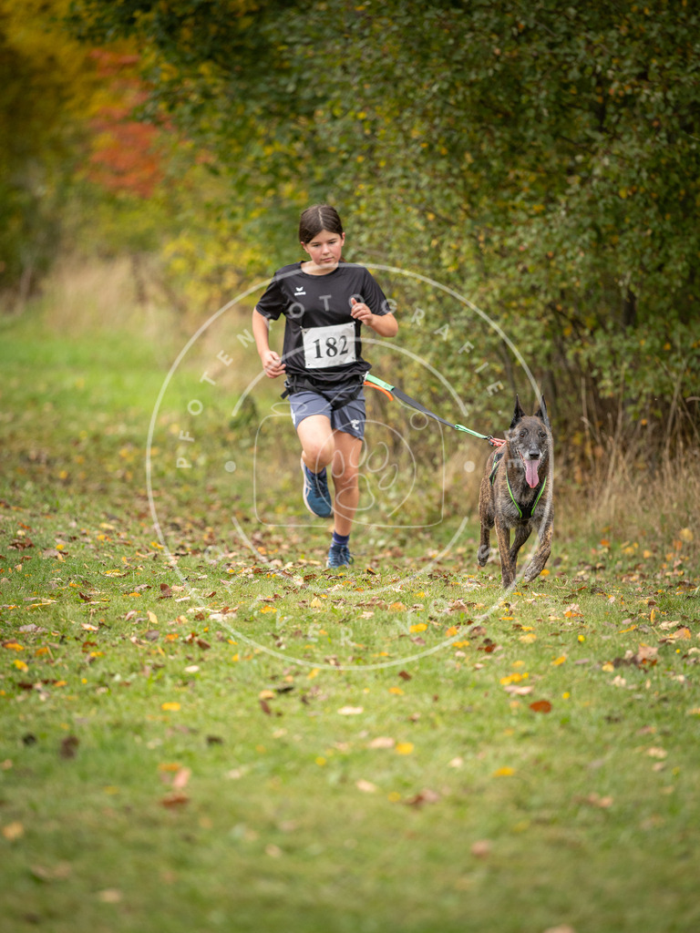 Pfotenfotografie_DV3A3711 | Hundefotografie, Tierfotograf, Pfotenfotografie, Fotoshooting Hund, Hunde Portrait, Hundesport, Hundeportraits, Heideshooting, Hunde, Sportfotograf, Hundefotograf, Turnierhundsport, THS,  - Realisiert mit Pictrs.com
