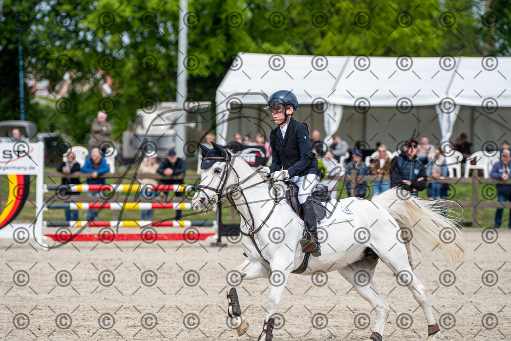 KPT_5945 | andre_photographic