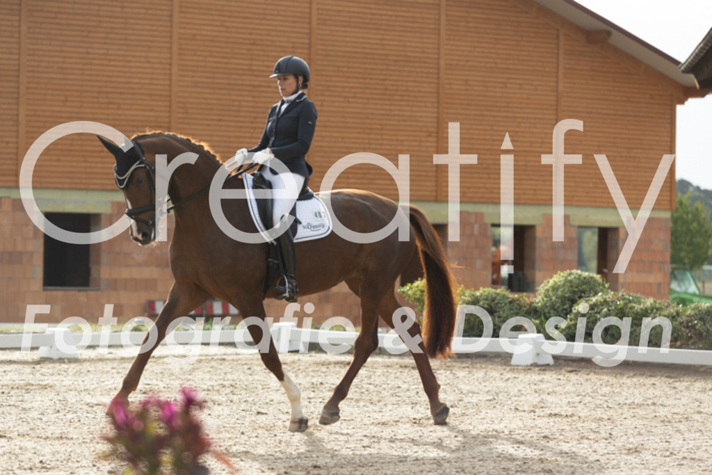 IMG_4117 | Creatify Fotografie