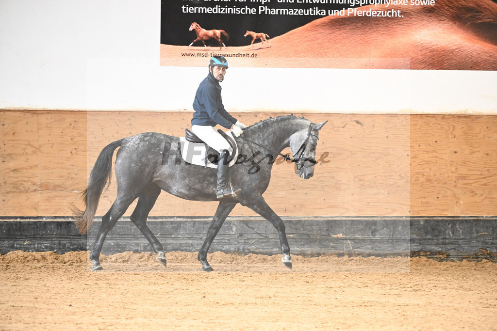 Kat-Nr. 1 Caramia v. Castino_Riepertinger_50250190 | hf-fotografie - Realisiert mit Pictrs.com