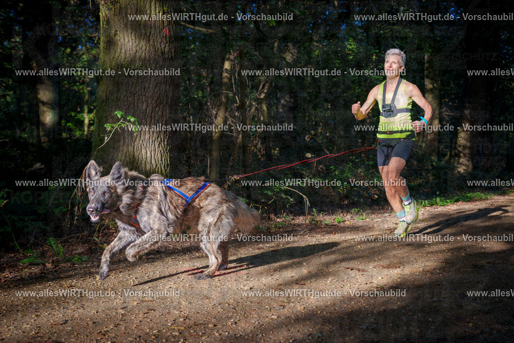 THS_Turnier_27-09-2026-allesWIRTHgut_Tierfotografie-7R505210 | Professionelle Tierfotografie in Mönchengladbach von Daniel Wirth (allesWIRTHgut). Liebevolle & natürliche Bilder von Hunden & Katzen für unvergessliche Erinnerungen.