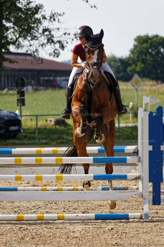 JHE_4919 | JoYa Fotografie - Realisiert mit Pictrs.com