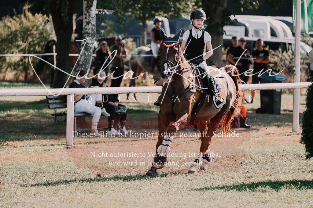 DSC_4864 | Pferde- und Turnierfotografie in Westsachsen. Pferdeportraits, Auftragszeichnungen und intuitive Kunst.
