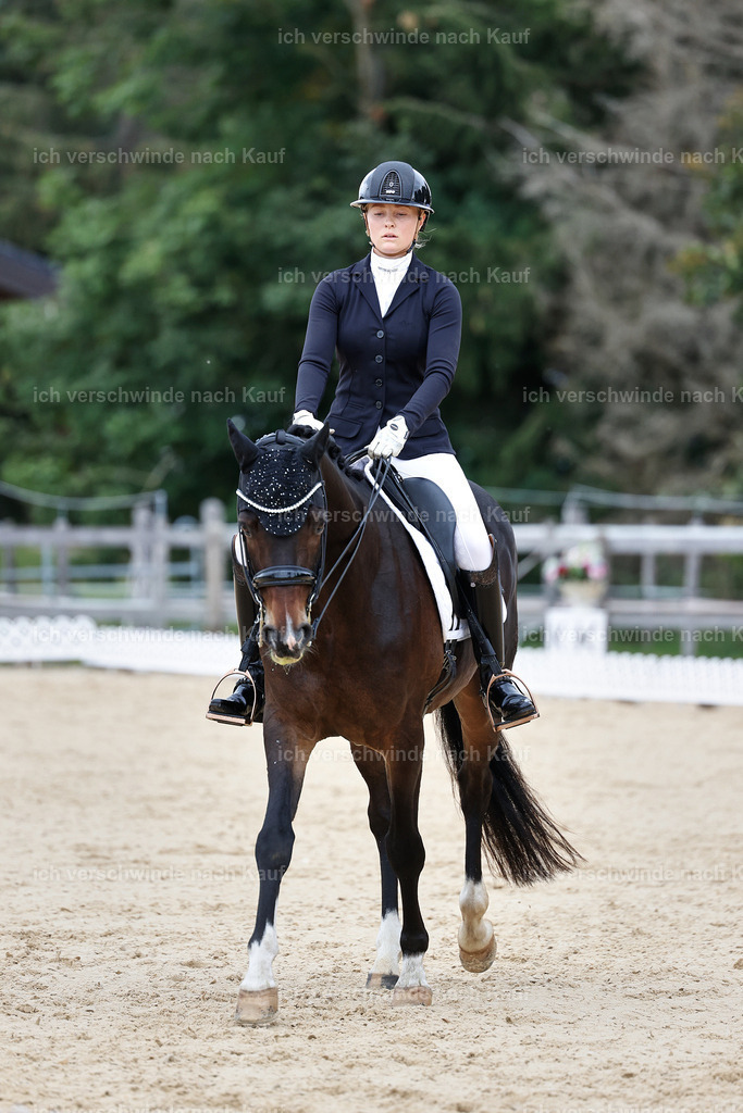 3-104-Dressur M_-StoibPH-2462 | working equitationturnier fotograf videograf stoibphotography marixx film working equitation deutschland reitsport turnierfotografie eventfotografie equestrian events