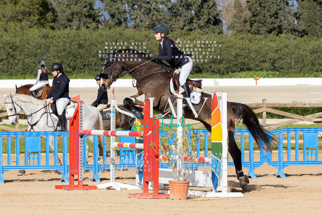 IMG_7973 | s-jay-photography - Realisiert mit Pictrs.com