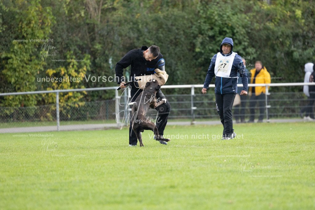 _16A7139 | Einzigartige Fotos von Hunden & Menschen –Actionfotos, Portraits, Vereinsaufnahmen & Paarshootings – authentisch, lebendig & mit Herz.