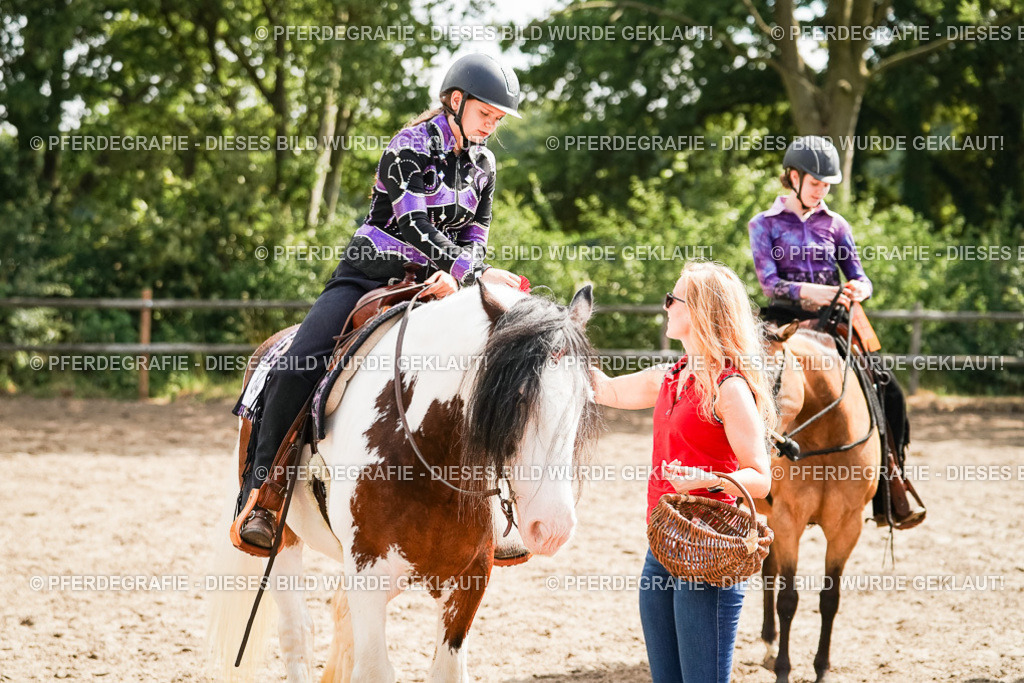 DSC05094 | Pferdegrafie