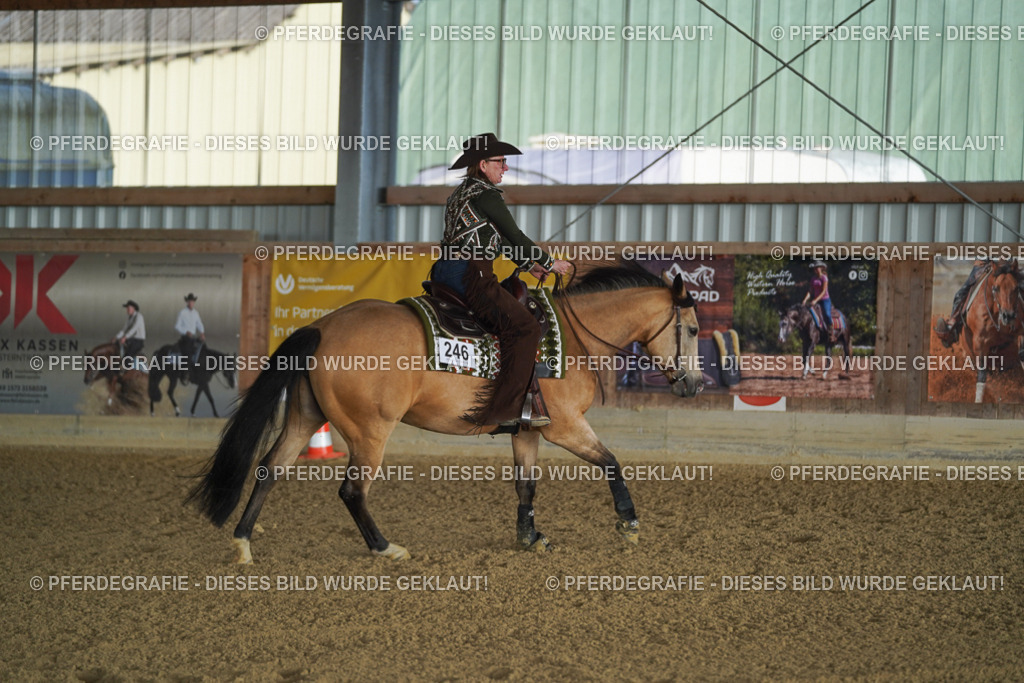 DSC08336 | Pferdegrafie