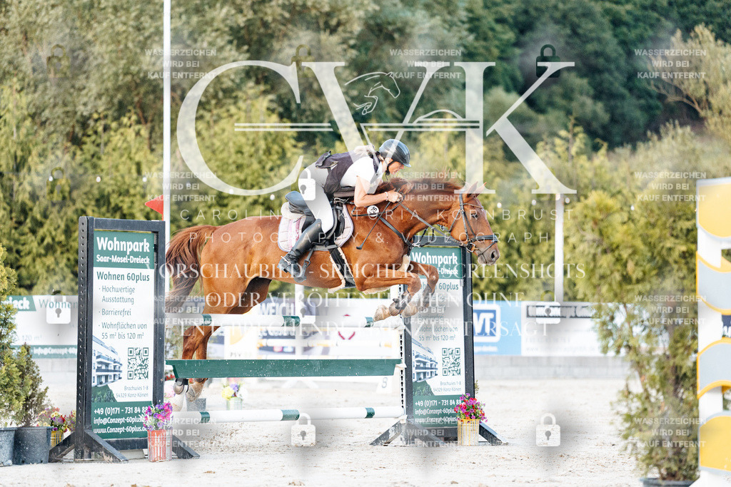 CK901393 | Turnierfotografie Pferdefotografie Trier Rheinland-Pfalz Pferdesport Reitsport Tierfotografie Sportfotografie Pferdevideo Pferdevideografie Equestrianvideography equestrianphotography  - Realisiert mit Pictrs.com