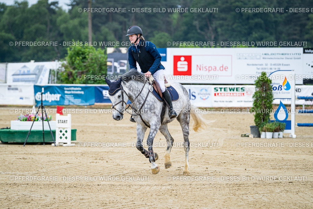 DSC03409 | Pferdegrafie