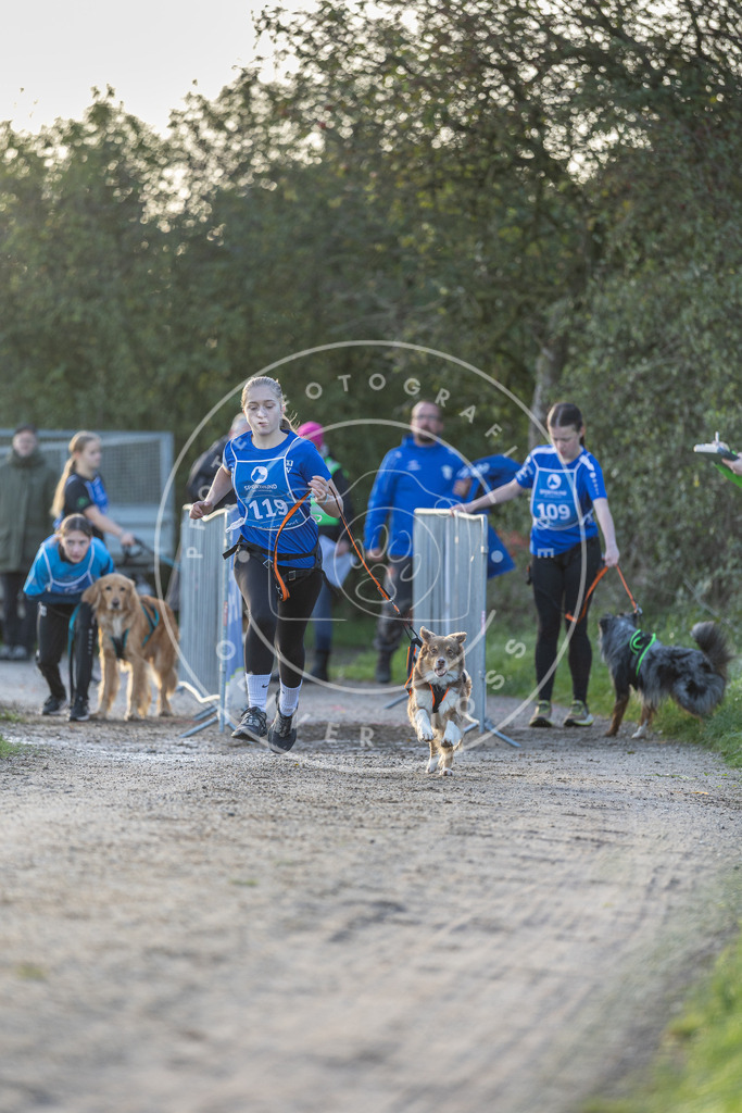 Pfotenfotografie.de_DV3A2500 | Hundefotografie, Tierfotograf, Pfotenfotografie, Fotoshooting Hund, Hunde Portrait, Hundesport, Hundeportraits, Heideshooting, Hunde, Sportfotograf, Hundefotograf, Turnierhundsport, THS, canicross - Realisiert mit Pictrs.com