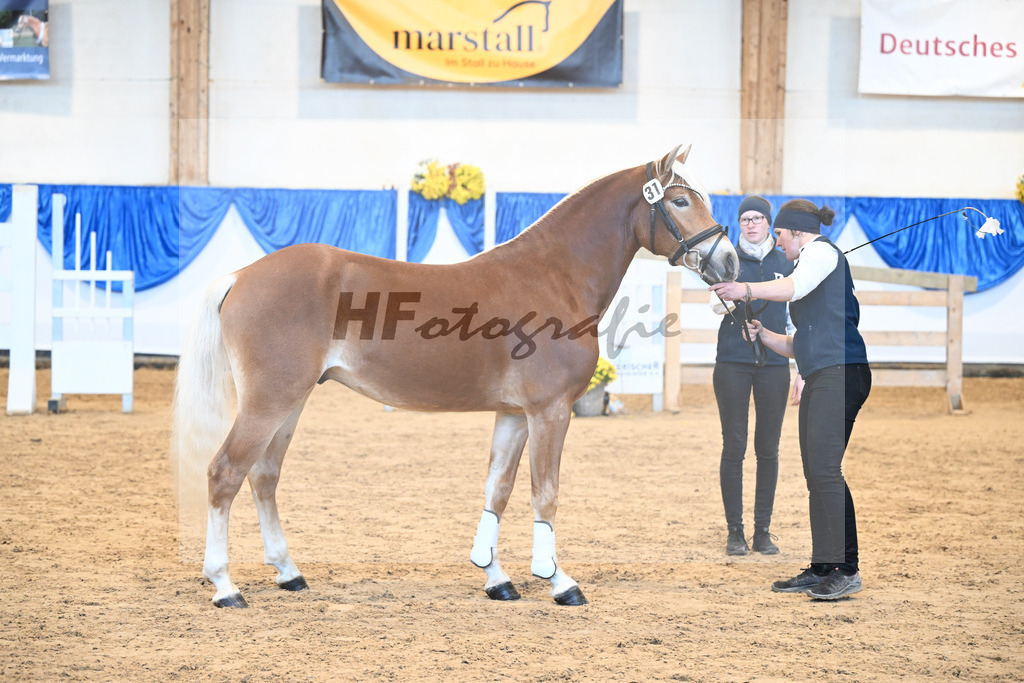 Kat-Nr. 31 Weinbrand v. Weingold S_Brugger_48250688 | hf-fotografie - Realisiert mit Pictrs.com