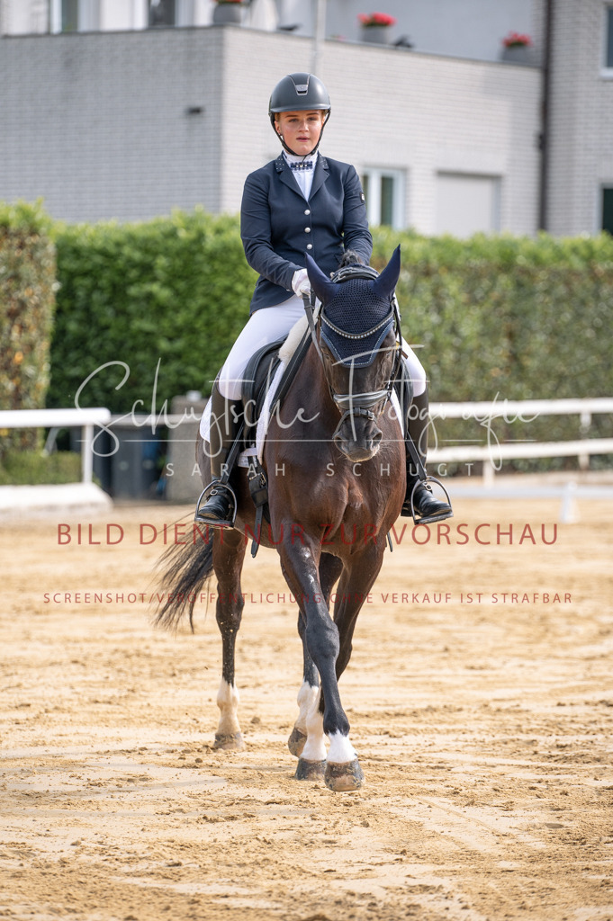 Schugtsche-Aluta25-40.DressurprfA_-159 | Schugtsche Fotografie - Realisiert mit Pictrs.com