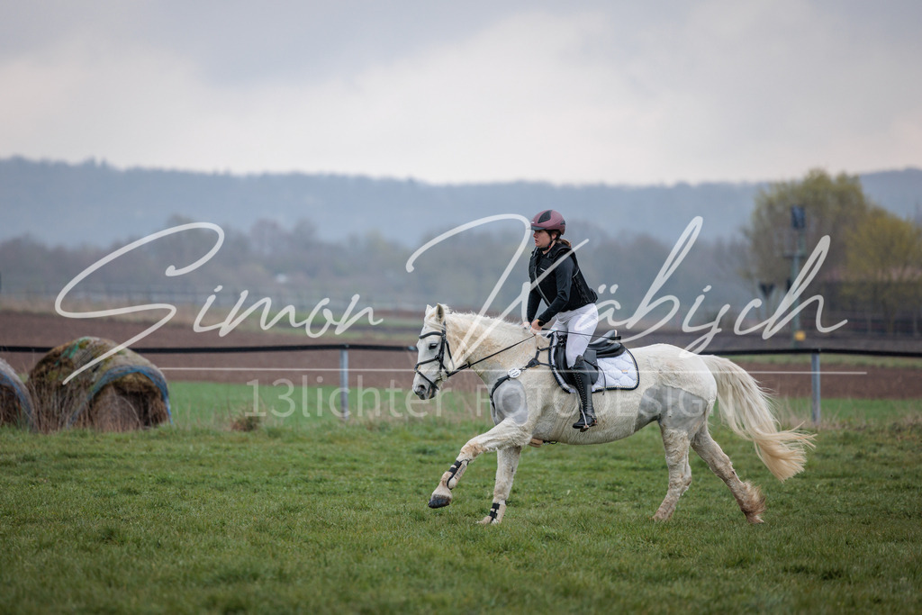 20260329-_3LI4047 | Tierfotografie Pferde, Hunde, Katzen, Haustiere.
Turnierfotografie Reitturniere, Reiten, Springreiten, Dressur in Hanau, dem Main-Kinzig-Kreis und dem Rhein-Main- Gebiet um Frankfurt