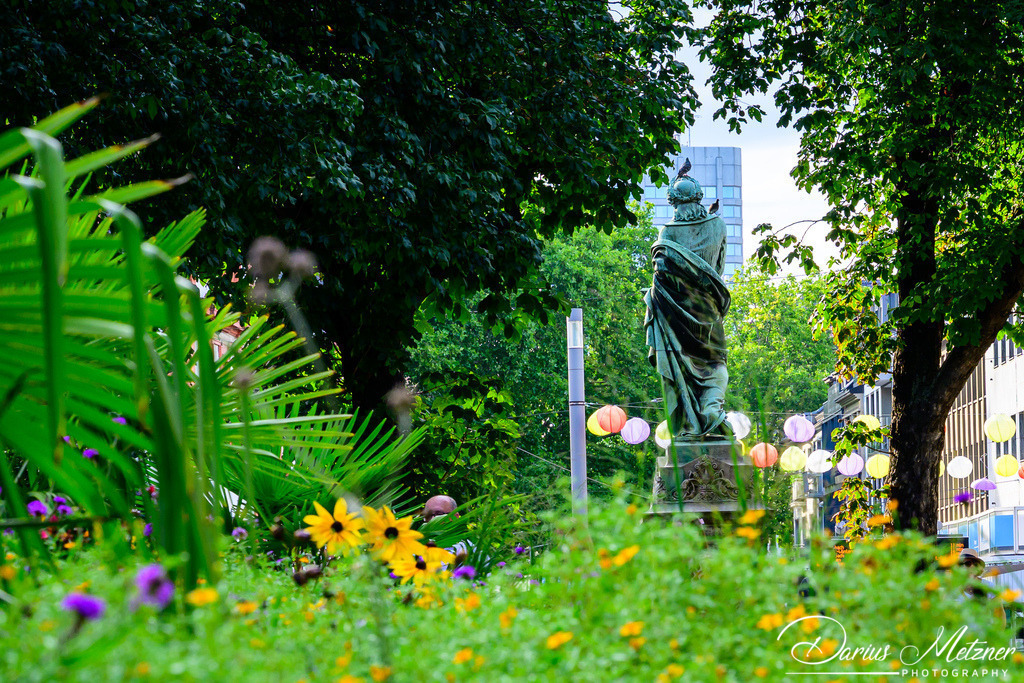 DSC_4014 | Fotografien, Fotos und Bilder aus Mainz, Frankfurt, Wiesbaden und anderen Orten auf der Welt - Fotografiert von Darius Metzner