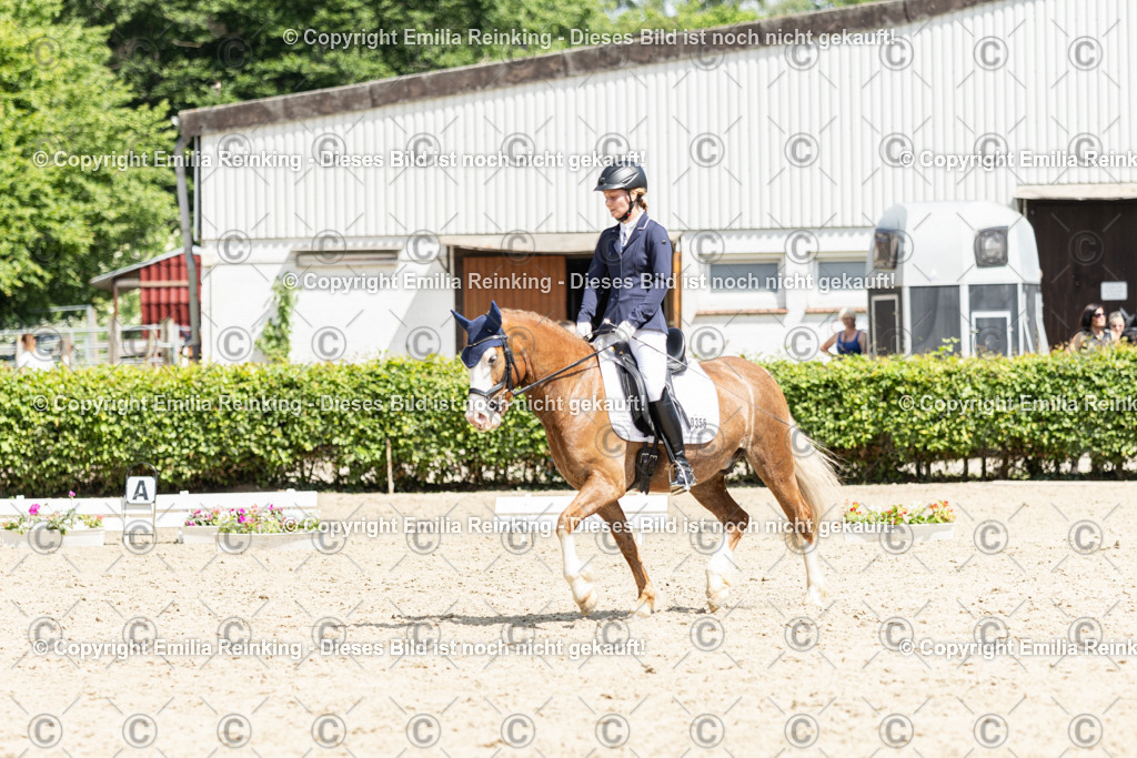 CL5A0428 | Emilia Reinking Fotografie - Realisiert mit Pictrs.com