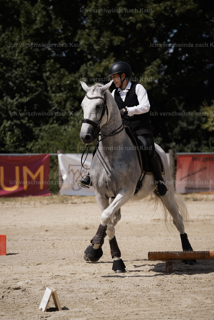 WM_SP_143_Stoibphotography_SO19734 | working equitationturnier fotograf videograf stoibphotography marixx film working equitation deutschland reitsport turnierfotografie eventfotografie equestrian events