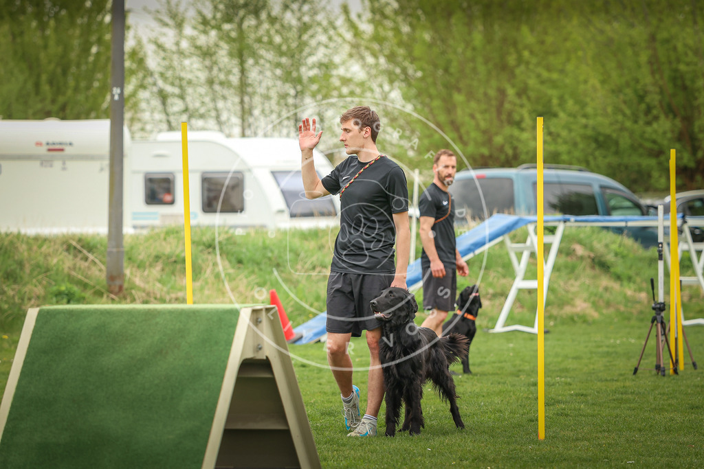 Pfotenfotografie_0L8A0312 | Hundefotografie, Tierfotograf, Pfotenfotografie, Fotoshooting Hund, Hunde Portrait, Hundesport, Hundeportraits, Heideshooting, Hunde, Sportfotograf, Hundefotograf, Turnierhundsport, THS,  - Realisiert mit Pictrs.com