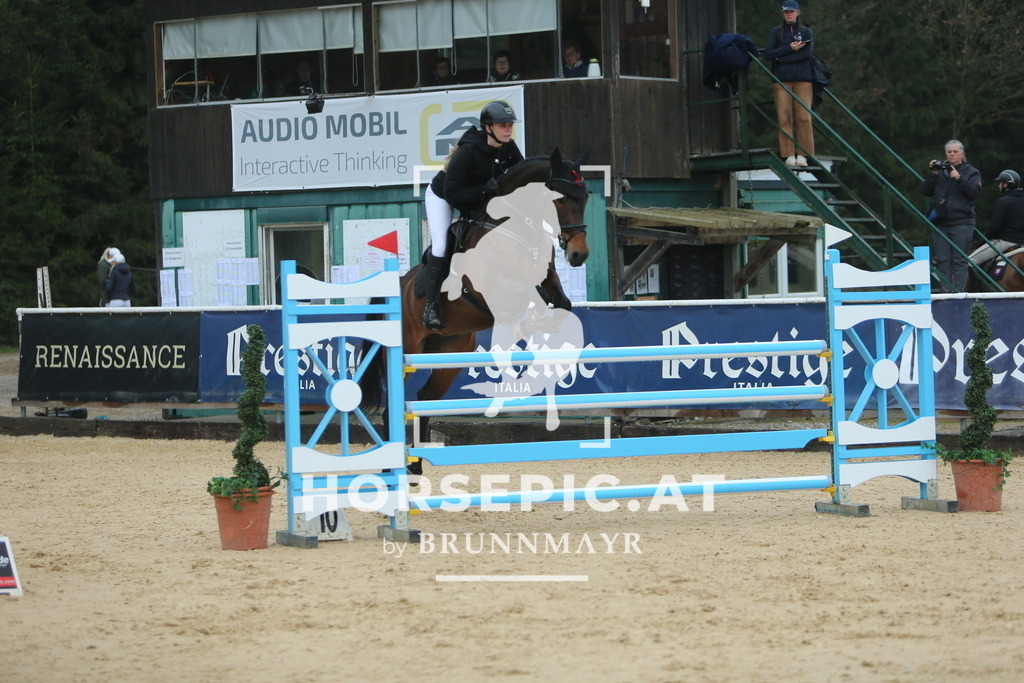 DL2Q7727 | Willkommen bei Brunnmayr - Design & Fotografie – Ihrem Spezialisten für Reitturniere und Pferdeveranstaltungen in Oberösterreich, Salzburg und Bayern! Seit über 17 Jahren sind wir leidenschaftlich dabei.