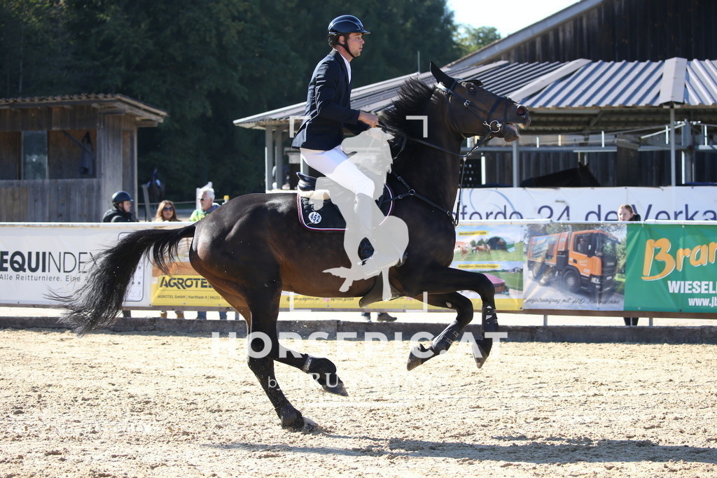 DL2Q3436 | Willkommen bei Brunnmayr - Design & Fotografie – Ihrem Spezialisten für Reitturniere und Pferdeveranstaltungen in Oberösterreich, Salzburg und Bayern! Seit über 17 Jahren sind wir leidenschaftlich dabei.