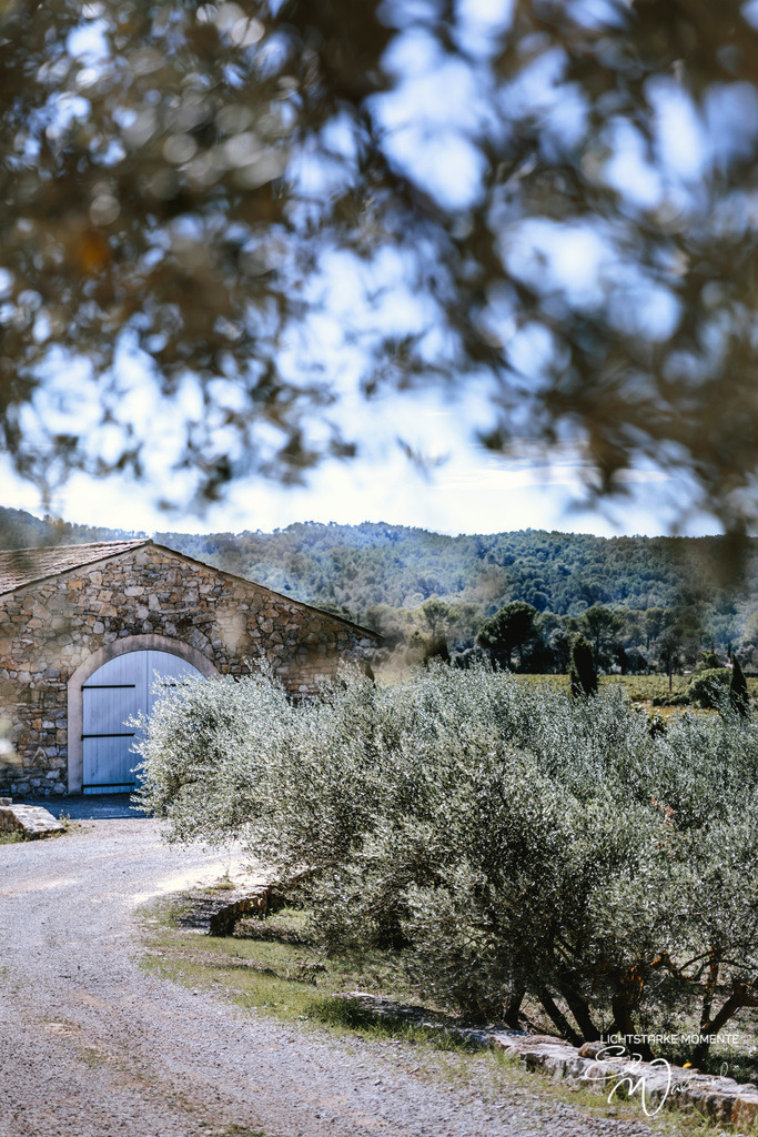 Thoronet, La Bastide | Herzlich willkommen auf meiner Seite! Ich bin Elke Wallnisch, Deine Fotografin für lichtstarke Momente. Der Name steht für alles, was mich mit der Fotografie verbindet: Das Licht und seine machtvolle Wirkung auf eine Situation oder unsere Stimmung - Realisiert mit Pictrs.com