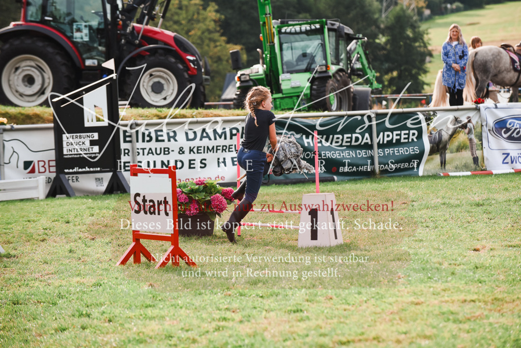 DSC_4717 | Pferde- und Turnierfotografie in Westsachsen. Pferdeportraits, Auftragszeichnungen und intuitive Kunst.
