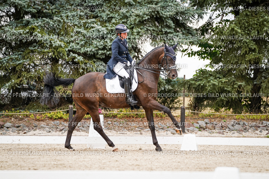 DSC07423 | Pferdegrafie