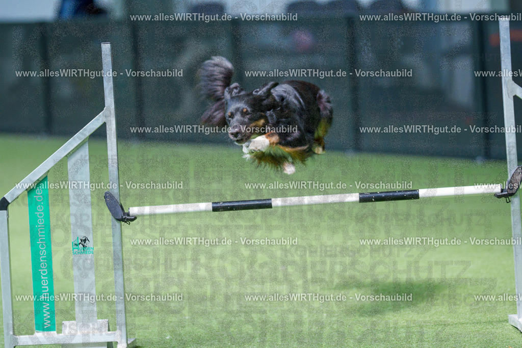 @allesWIRTHgut_Tierfotografie - www.allesWIRTHgut.de - 2604251352-7R504194 | Professionelle Tierfotografie in Mönchengladbach von Daniel Wirth (allesWIRTHgut). Liebevolle & natürliche Bilder von Hunden & Katzen für unvergessliche Erinnerungen.