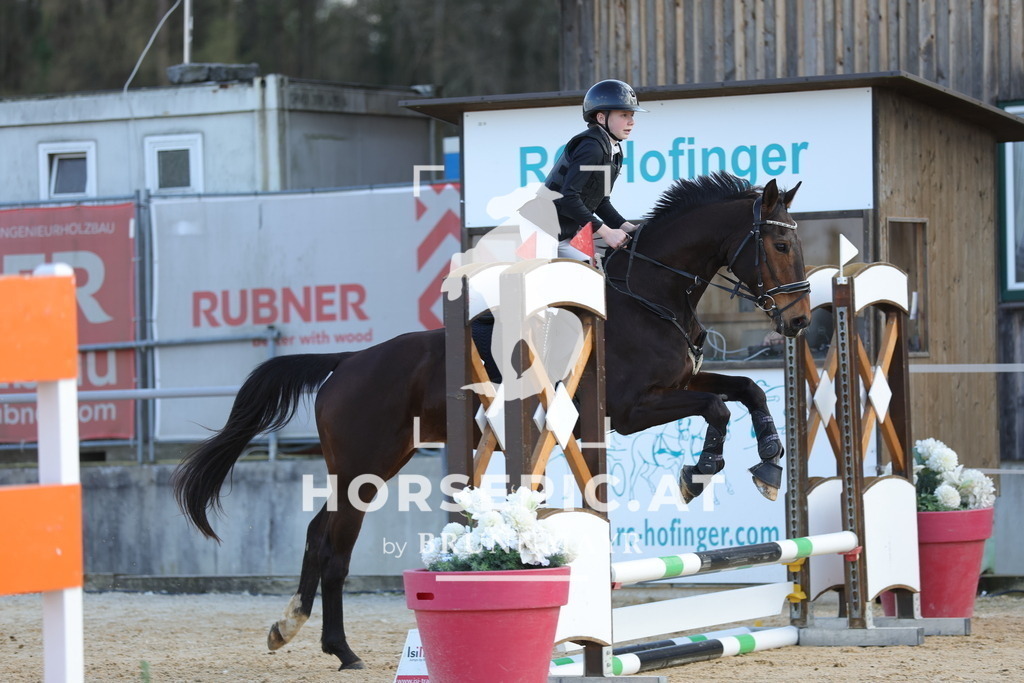 0P6A9102 | Willkommen bei Brunnmayr - Design & Fotografie – Ihrem Spezialisten für Reitturniere und Pferdeveranstaltungen in Oberösterreich, Salzburg und Bayern! Seit über 17 Jahren sind wir leidenschaftlich dabei.