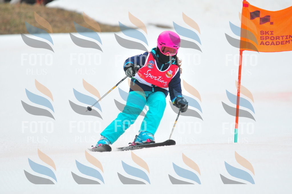 C0509 | holidayphoto