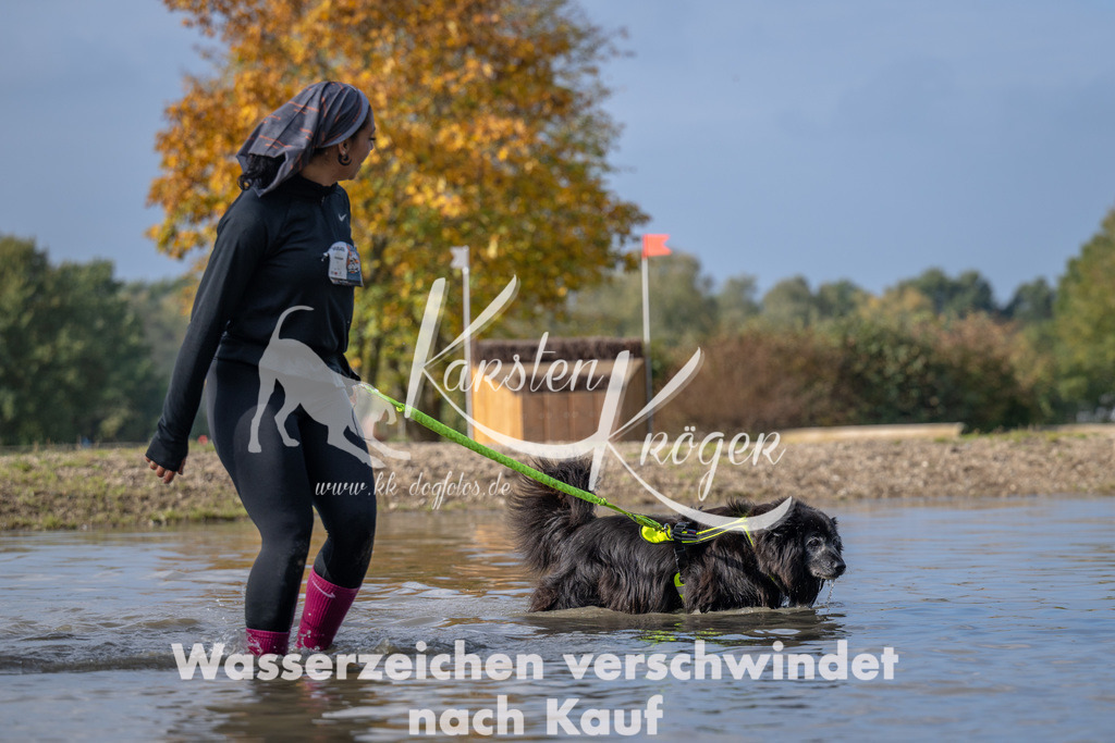 1146_ZZ94016 | kk-dogfotos