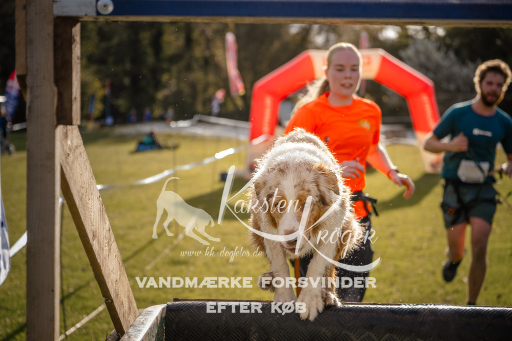 0952_ZZ98857 | kk-dogfotos